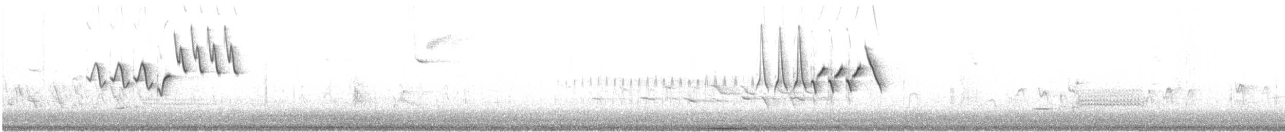 Yellow Warbler (Northern) - ML597872091