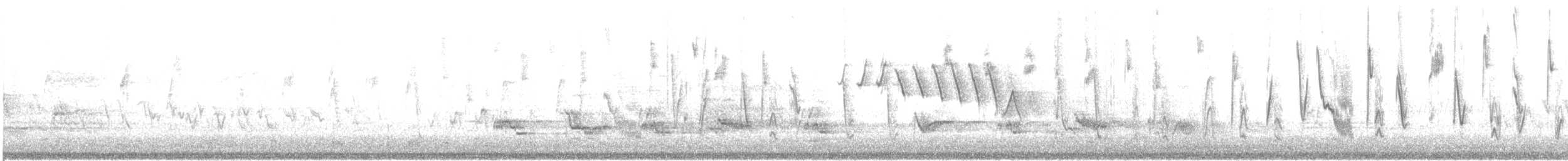 Northern Waterthrush - ML597872331