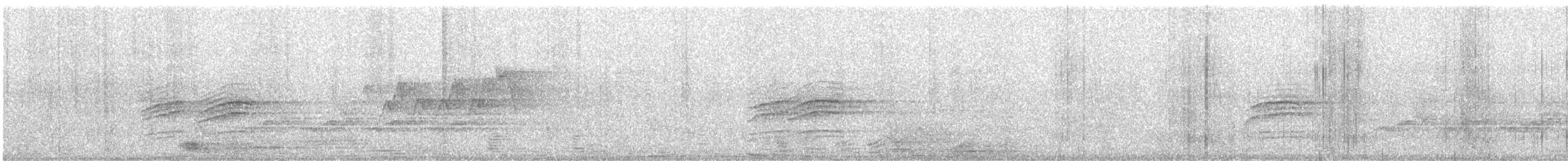 Дрізд-короткодзьоб плямистоволий - ML597893391