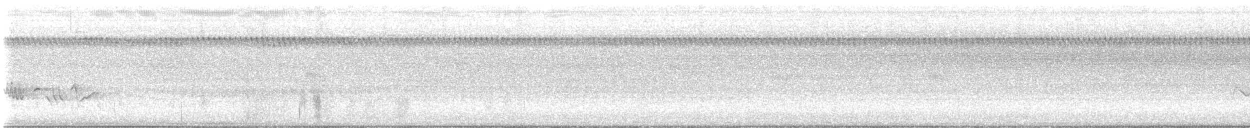 papežík modrý - ML597896151