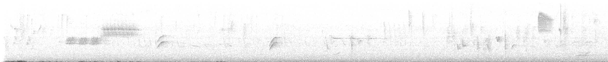 Oriole masqué - ML597912701