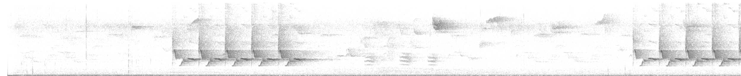 Каролинский крапивник - ML597933131