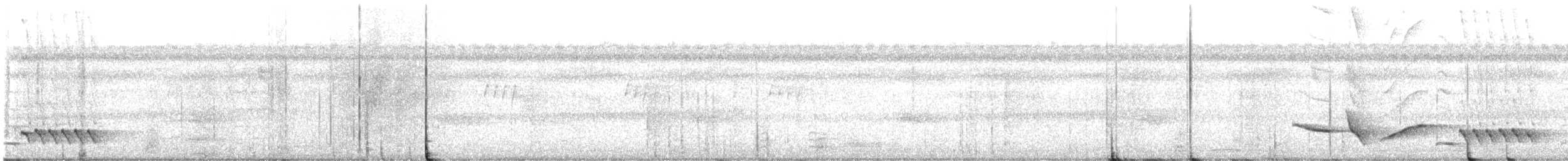 Kara Gerdanlı Çıtkuşu - ML597934651