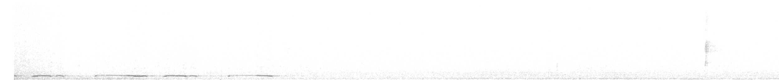 Tourterelle à ailes blanches - ML597939591