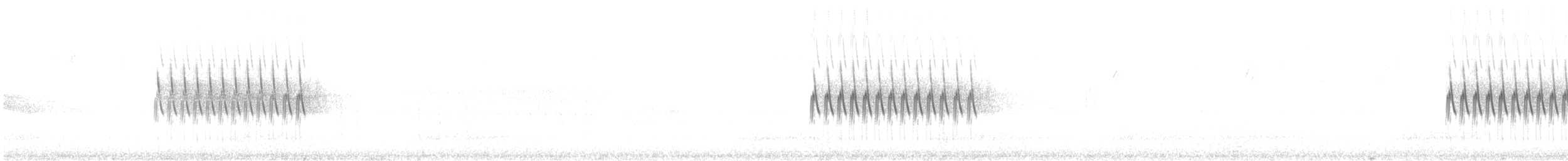 strnadec zimní [skupina oreganus] - ML597943721