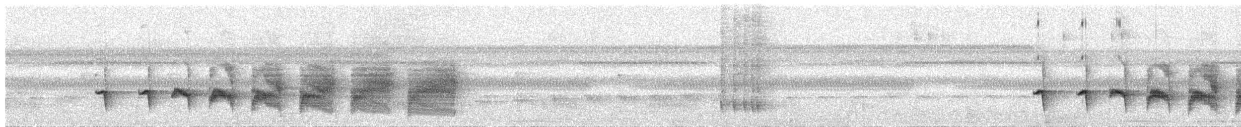 Мурав’янка-прудкокрил перуанська - ML597952681