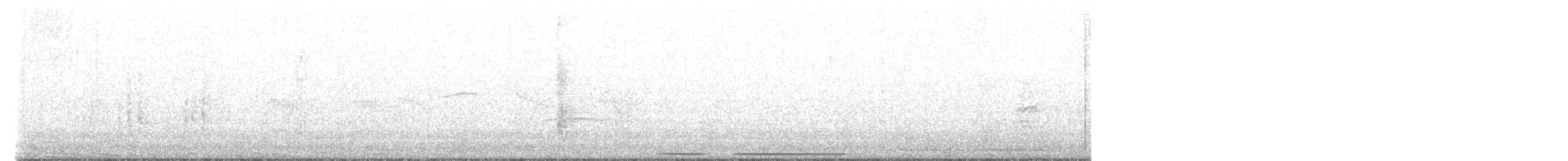 holub bledočelý - ML597979511