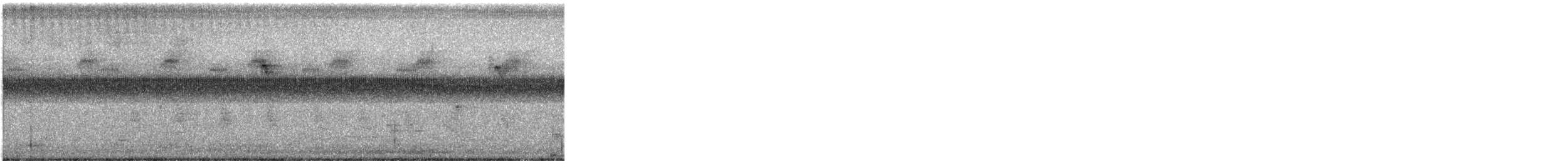 King Rail - ML598006331