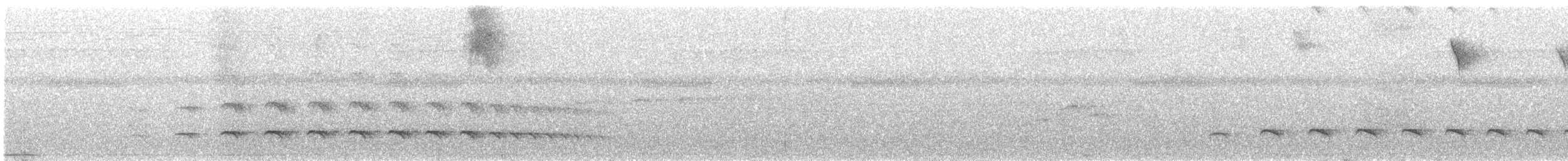Streifenkopf-Ameisenvogel - ML598009651