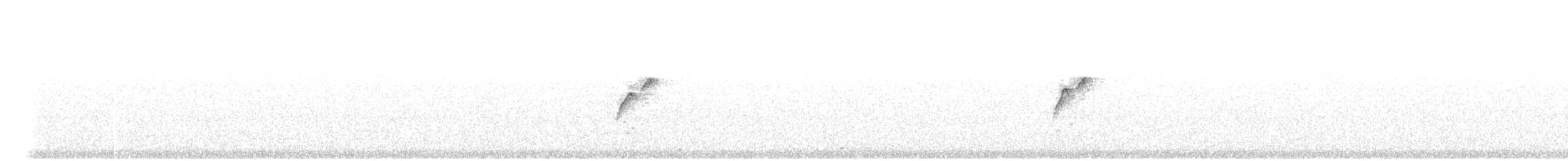Batı Amerika Sinekkapanı (occidentalis/hellmayri) - ML598039671