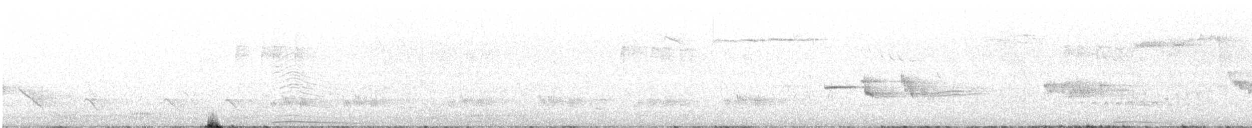 Сова вухата (підвид otus/canariensis) - ML598123391