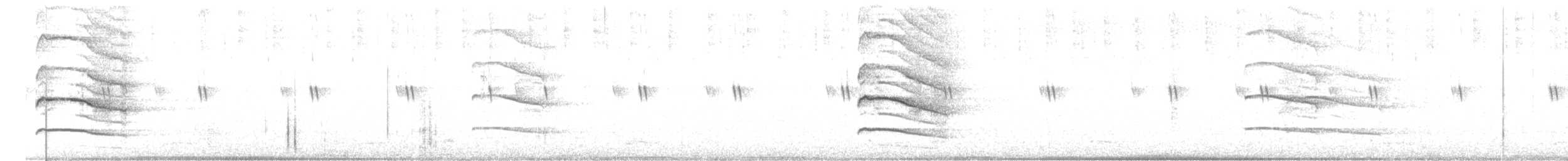 Сова вухата (підвид otus/canariensis) - ML598137591