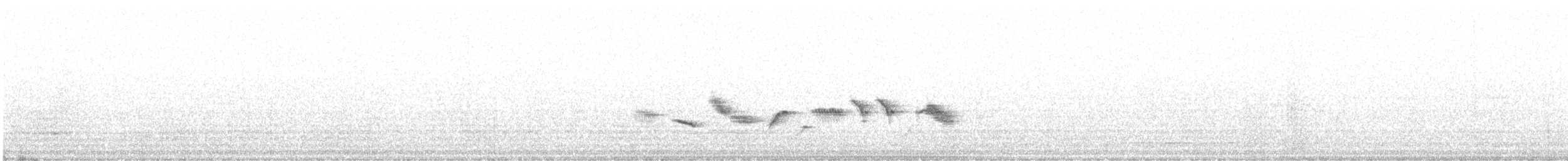 Пестрогрудая овсянка (Лисья) - ML598143611