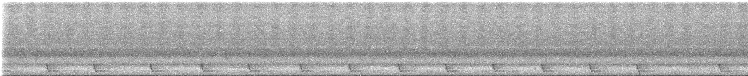 Large-tailed Nightjar - ML598156821
