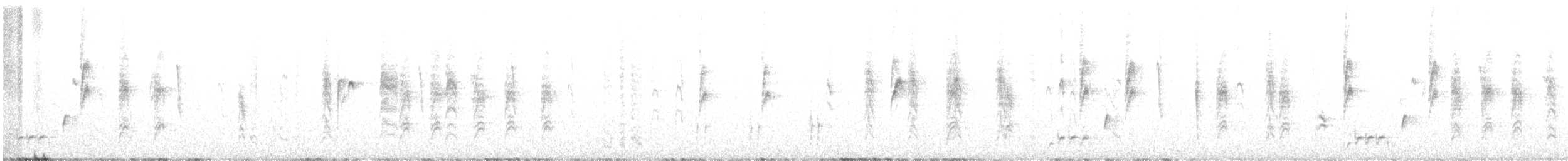 Шиподзьоб широкохвостий - ML598232631