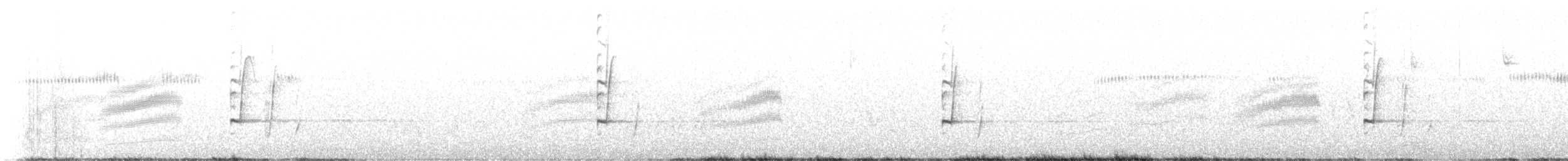 Fleckengrundammer [maculatus-Gruppe] - ML598239391