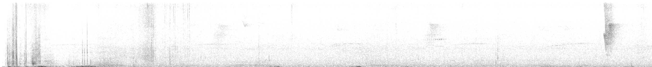 Зелёный колибри-отшельник - ML598259261