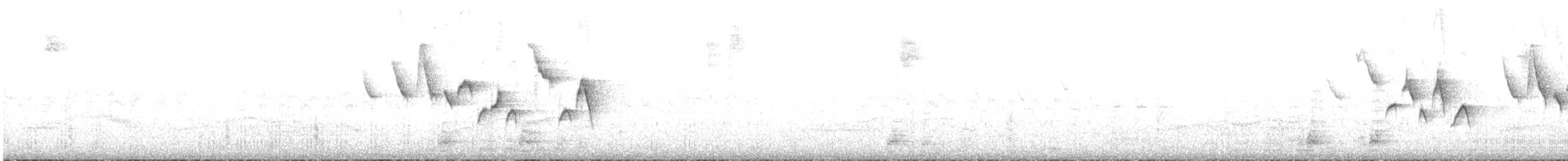 Yellow Warbler (Golden) - ML598293431