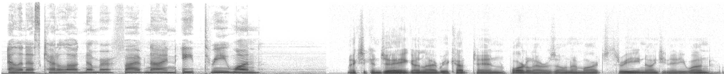 Mexican Jay (Arizona) - ML59831