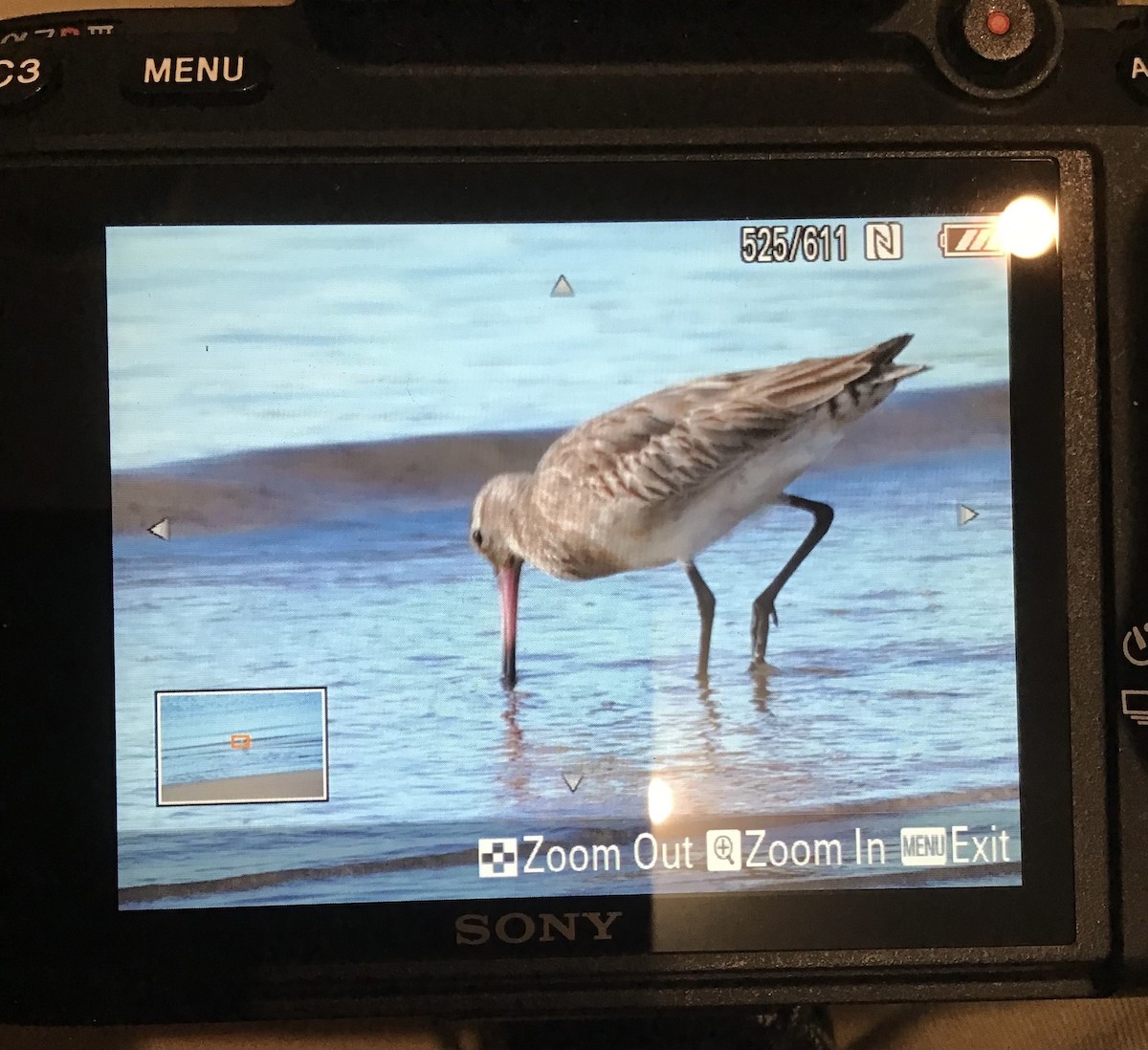 Хурган цууцал - ML598330681