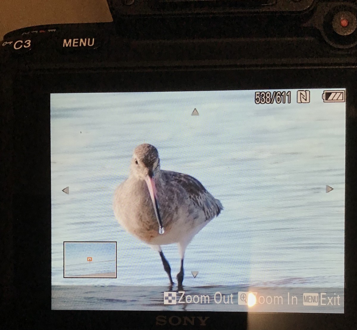 Хурган цууцал - ML598330691