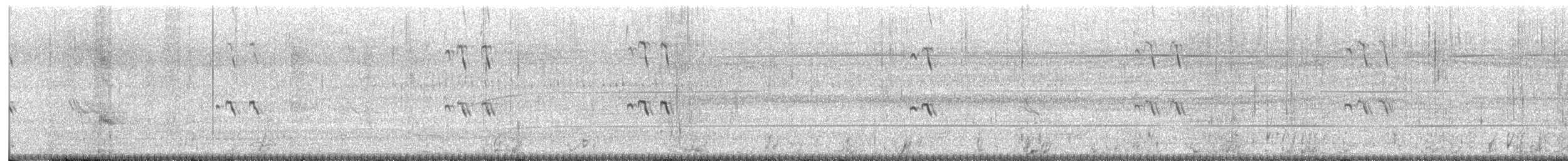 Sterne royale - ML598367161