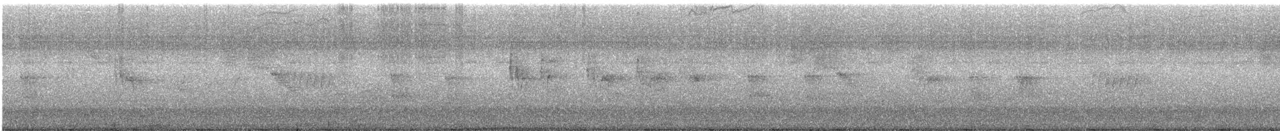 Black Phoebe - ML598400241