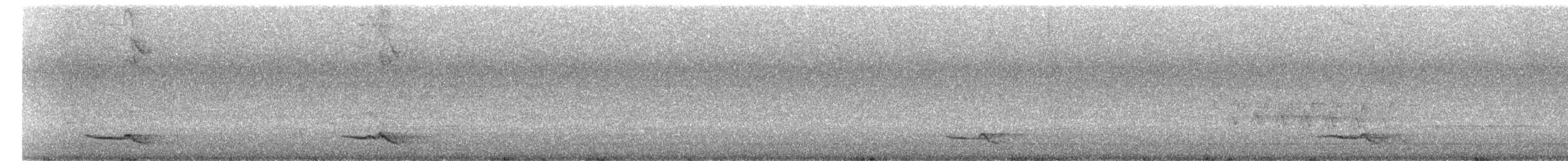Дорнын шаргач - ML598419231