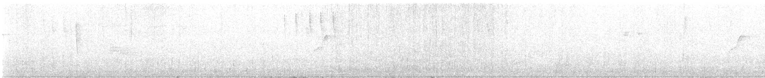 Batı Amerika Sinekkapanı (occidentalis/hellmayri) - ML598459091
