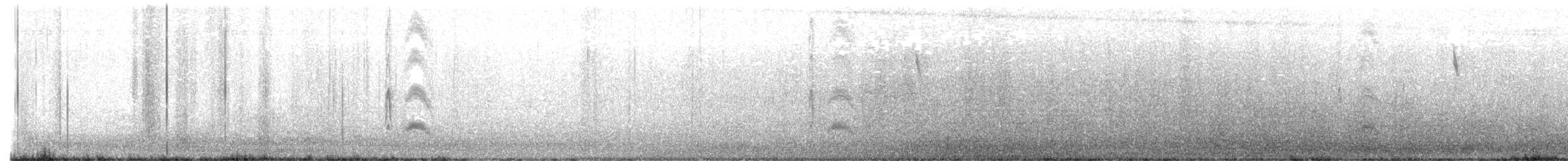 Серогрудый тиранн - ML598471901