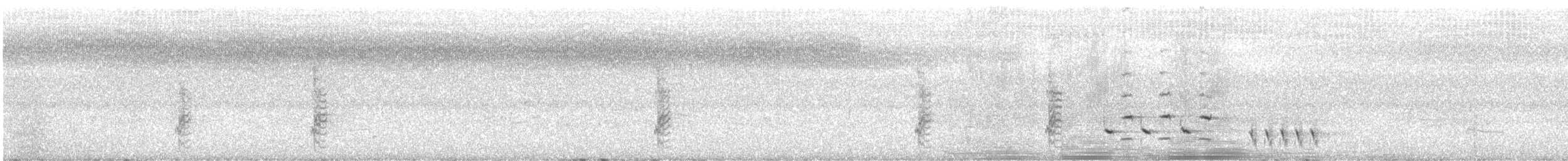 White-streaked Honeyeater - ML598488121