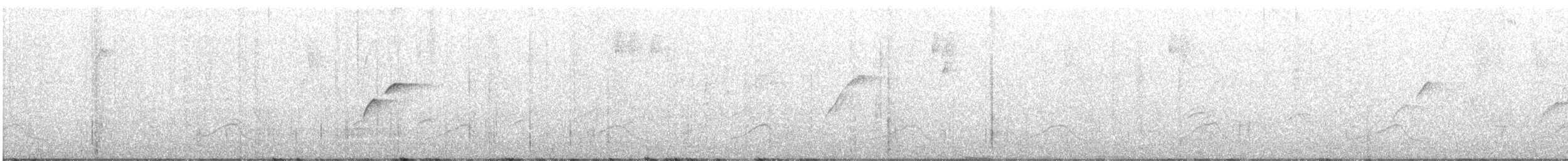 Batı Amerika Sinekkapanı (occidentalis/hellmayri) - ML598549221