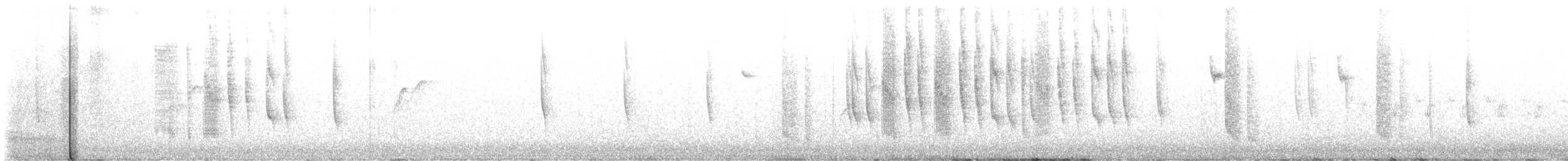 Широкохвостый колибри - ML598585641