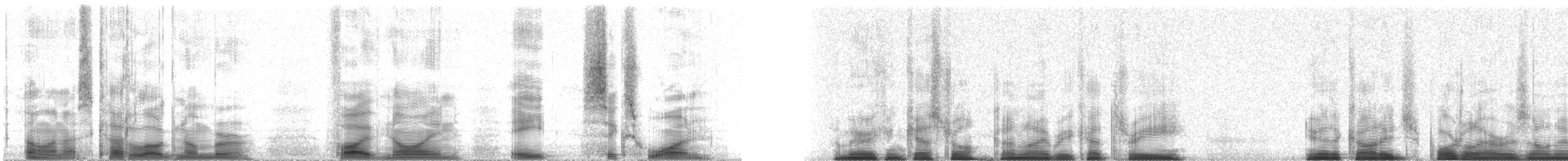 American Kestrel (Northern) - ML59861