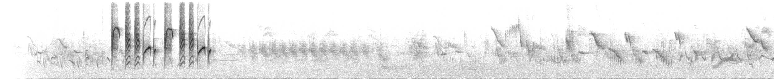 Mésange azurée (groupe flavipectus) - ML598737921