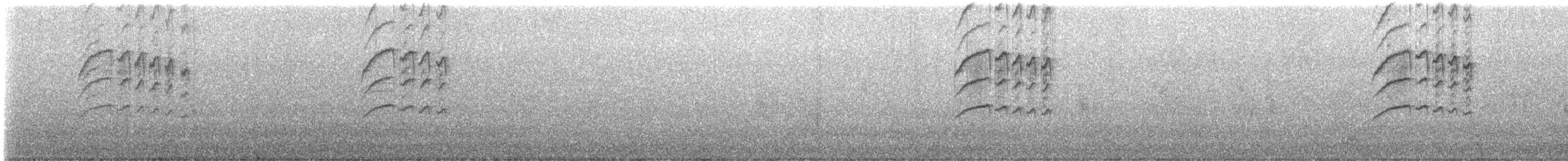 Zostérops à dos gris - ML598761571