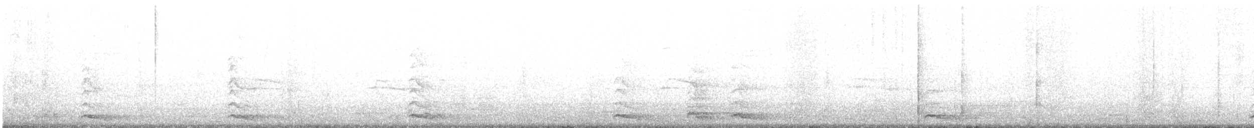 Yellow-legged Gull - ML598762931
