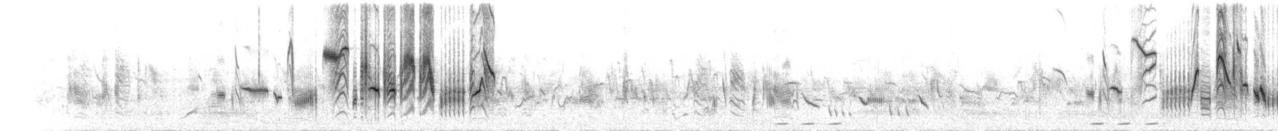 iranie bělohrdlá - ML598805041