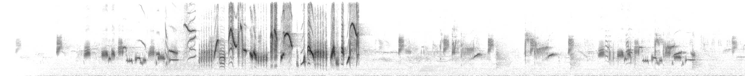 iranie bělohrdlá - ML598805161