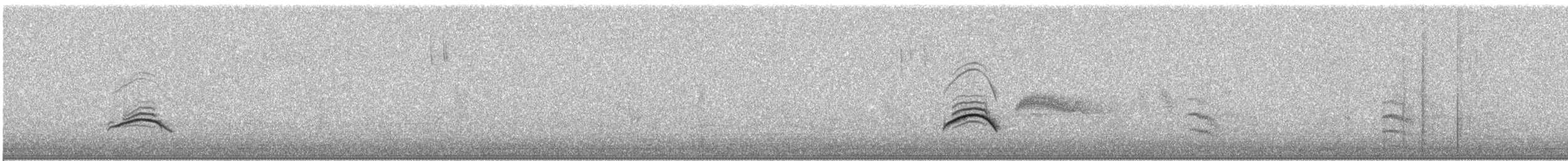 Черноголовый толстонос - ML598812681