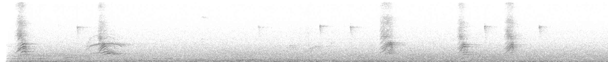 White-necked Thrush - ML598838401