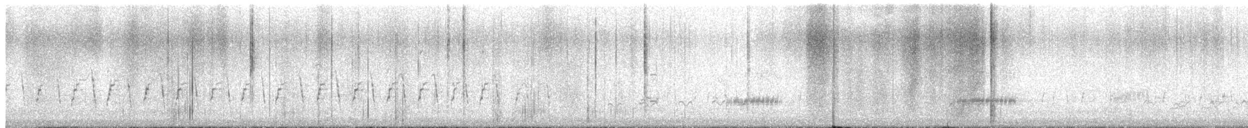 Clark's Grebe - ML598839561