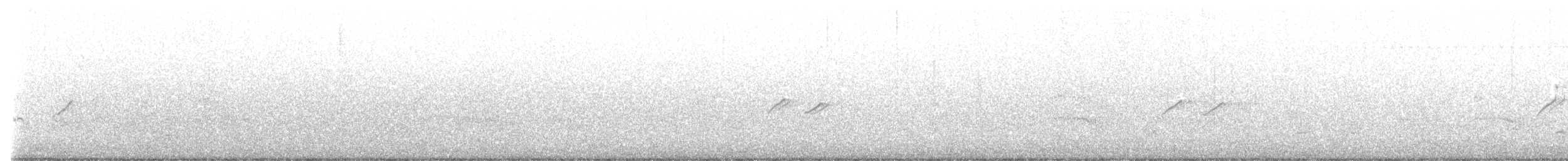 Chevalier grivelé - ML598892221