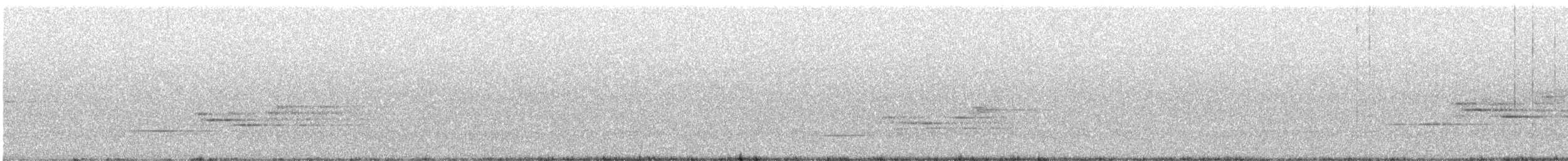 Hermit Thrush - ML598940521