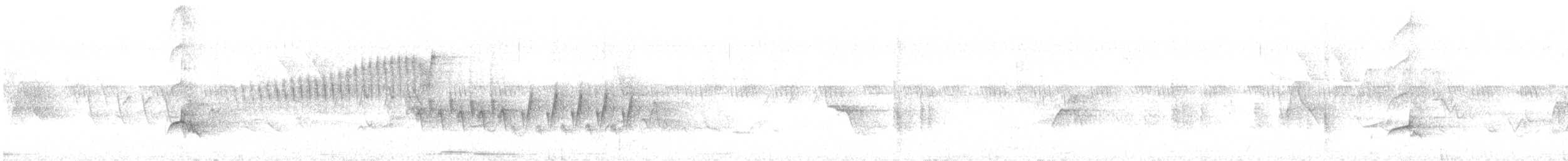 Northern Parula - ML598952351