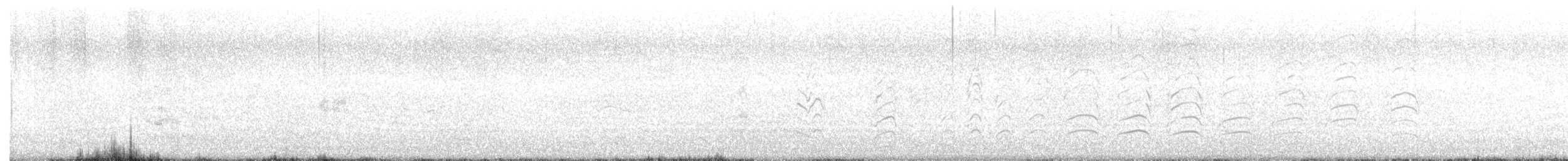 Ацтекская чайка - ML598958481