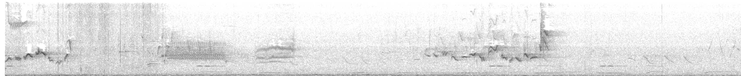 Warbling Vireo (Eastern) - ML59897601