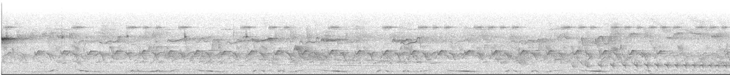 holub neotropický - ML599043571