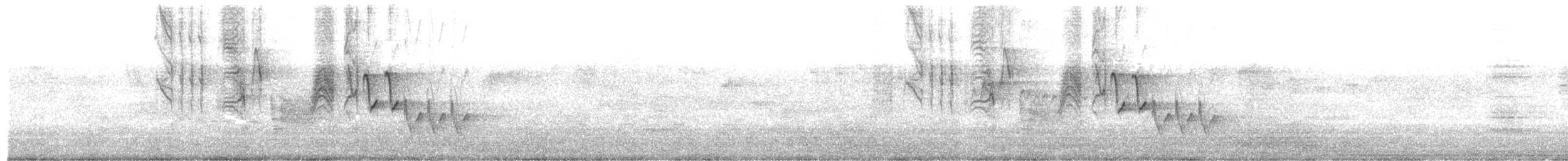 Southern House Wren - ML599108961