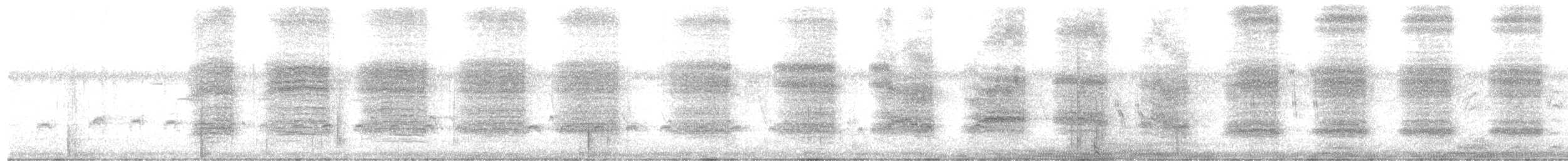 ヨコジマサボテンミソサザイ - ML599109091